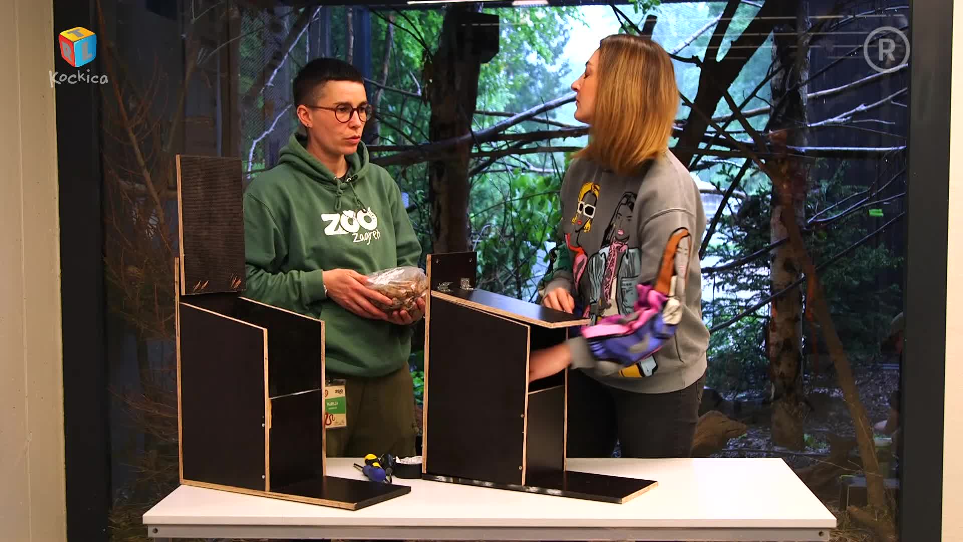 RTLKockica