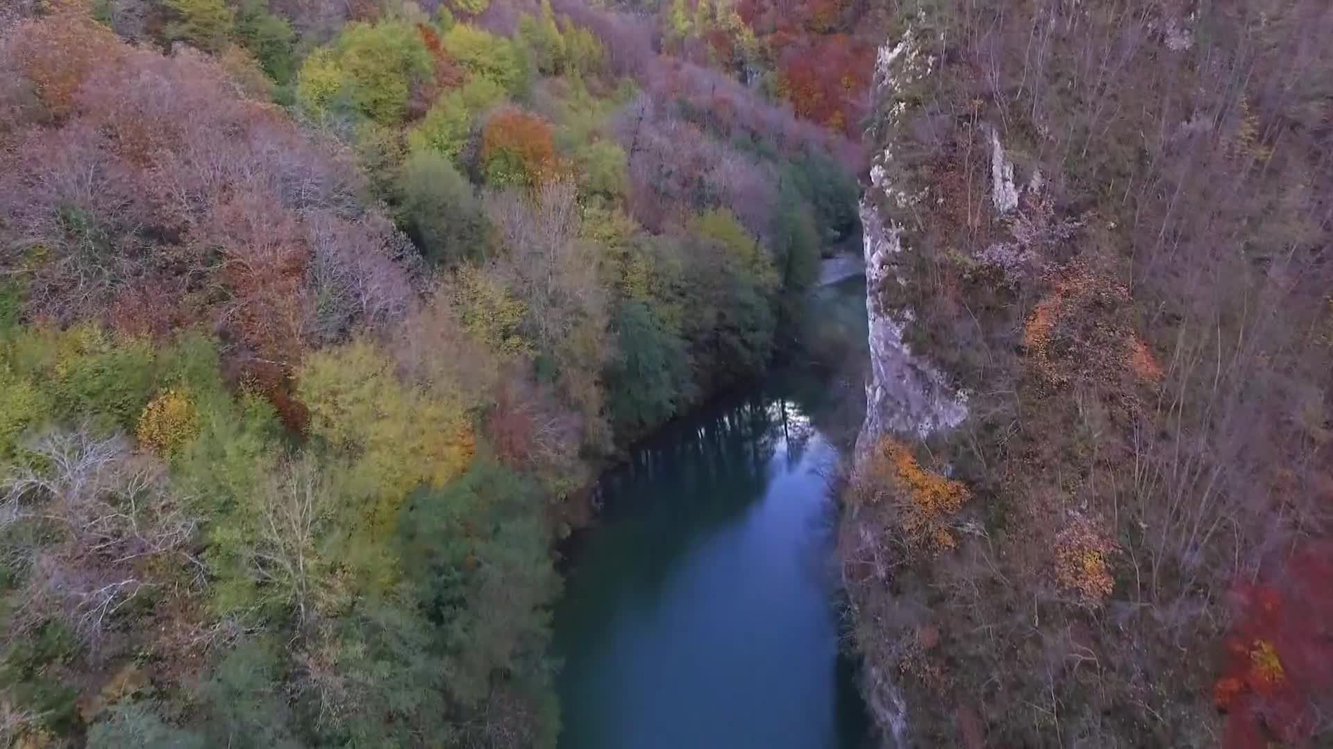 DokuTV
