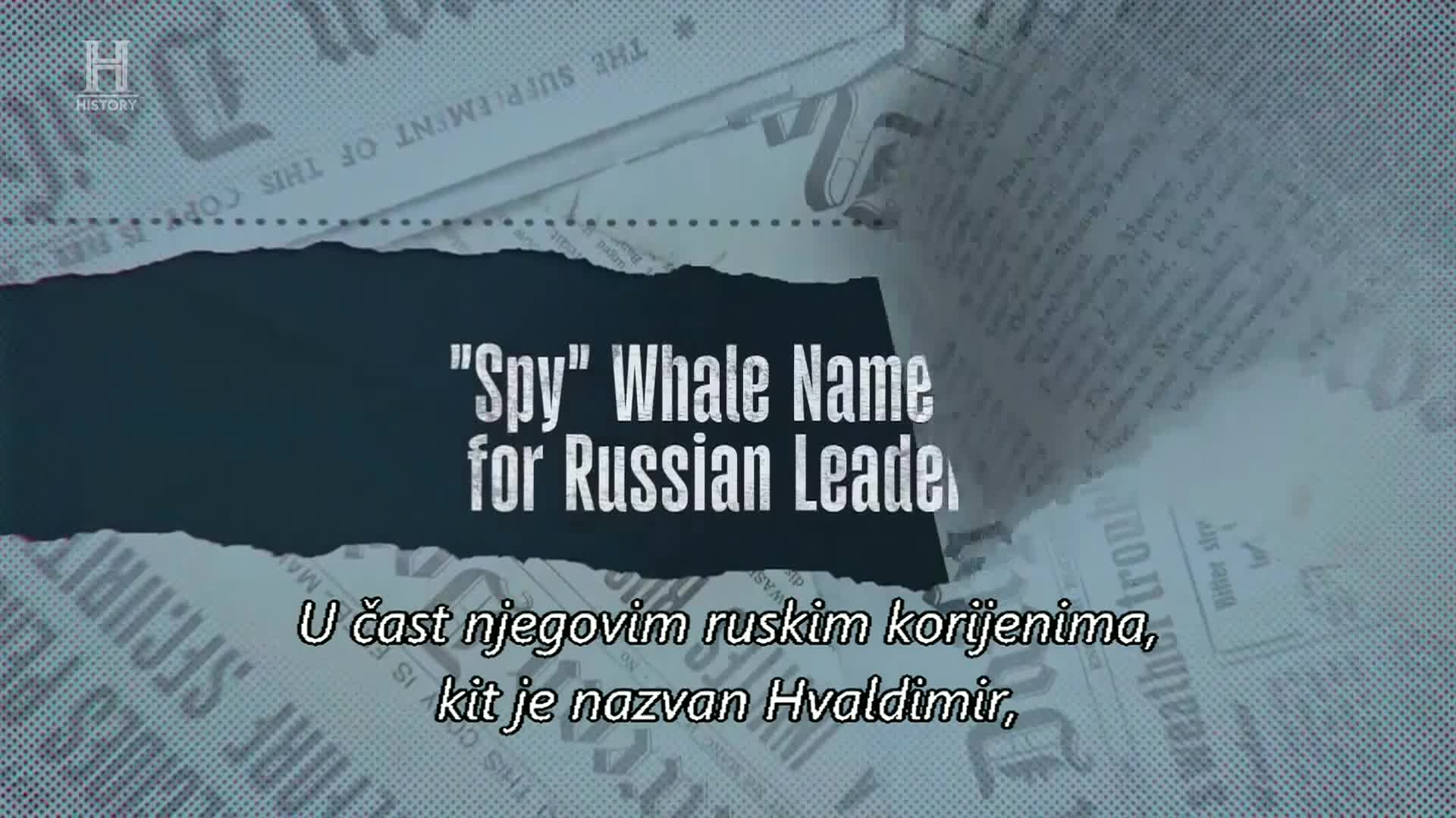 History