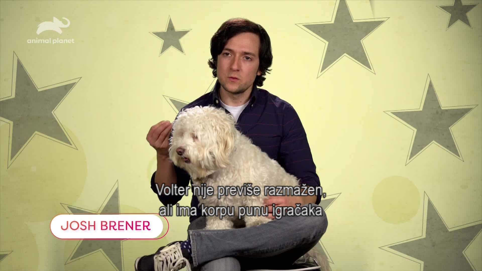 AnimalPlanet