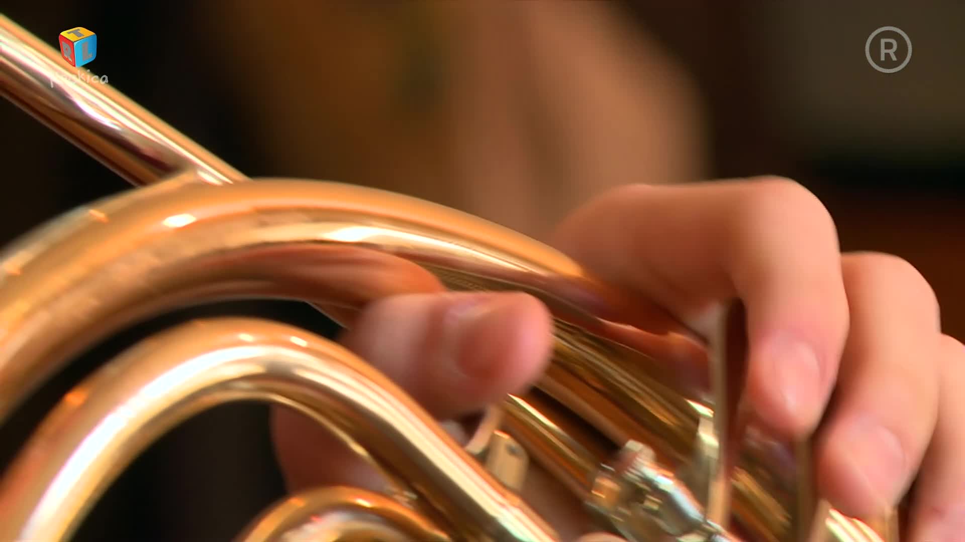 RTLKockica