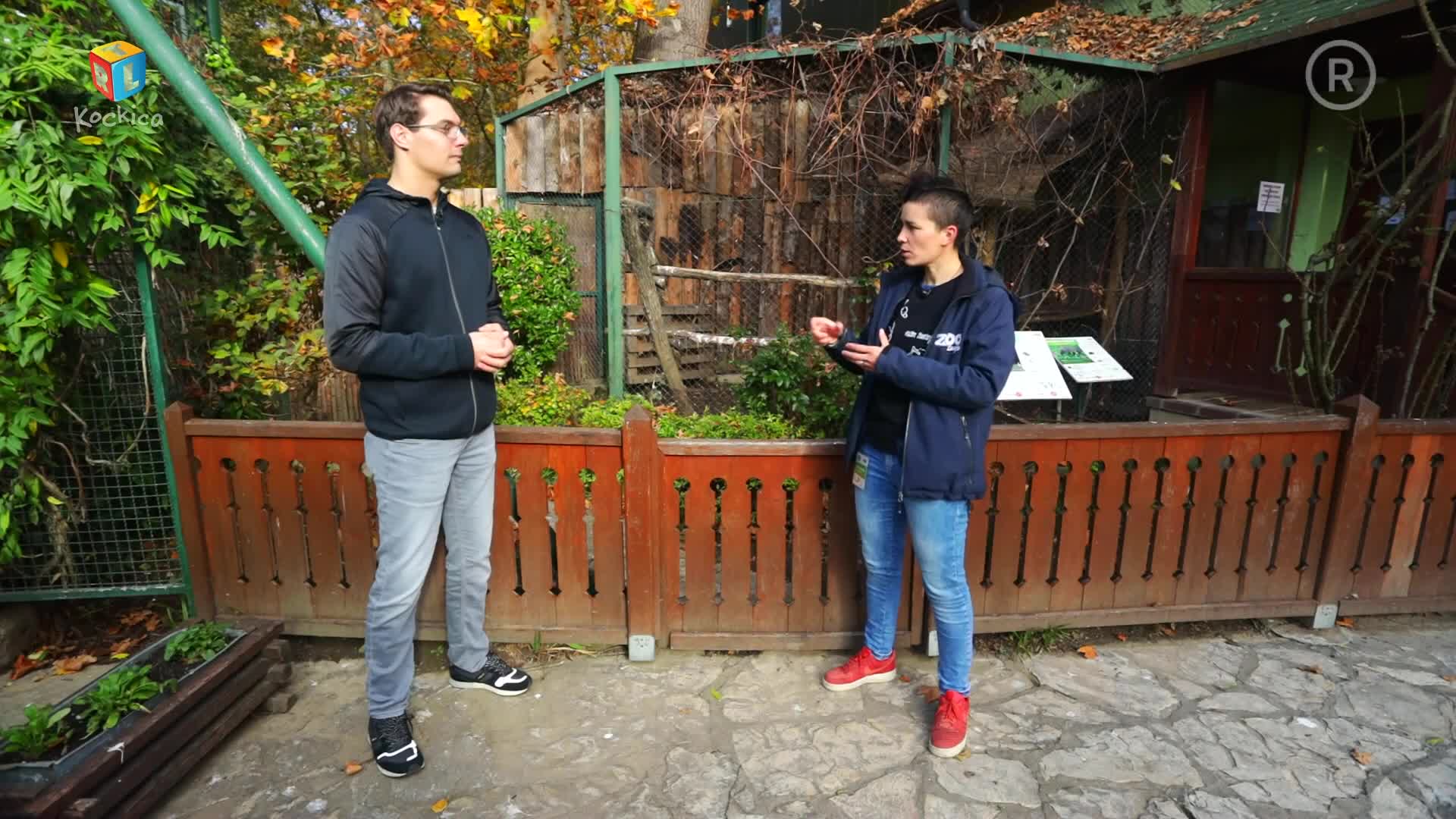 RTLKockica