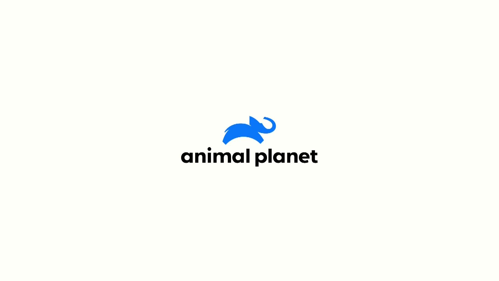 AnimalPlanet