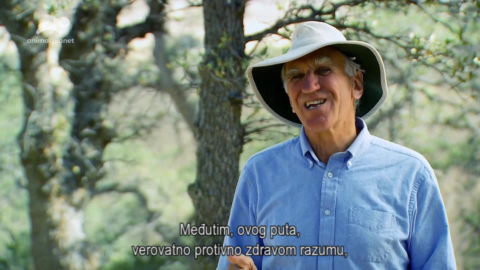 AnimalPlanet