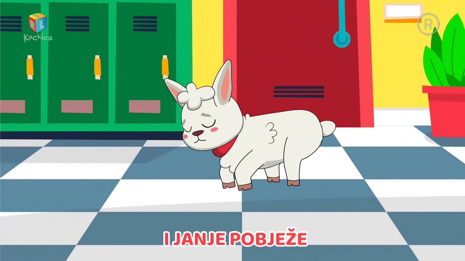 RTLKockica