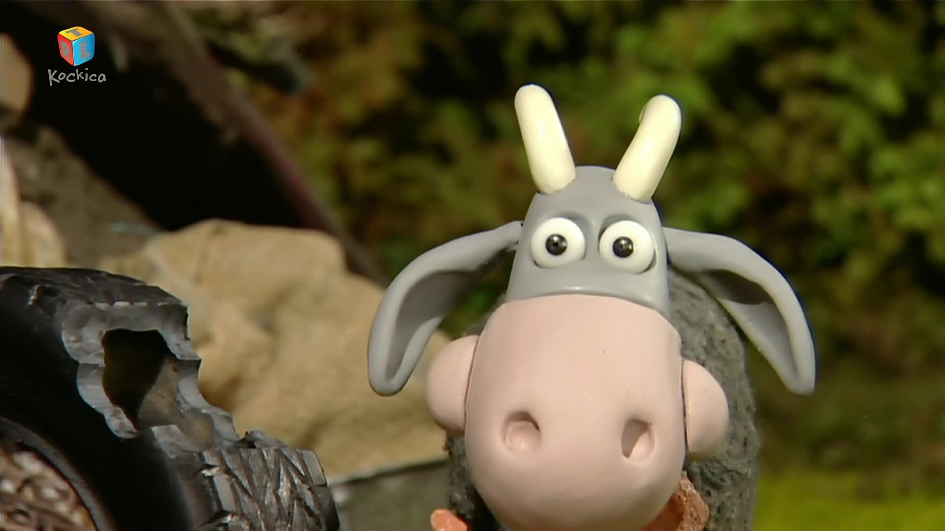 RTLKockica