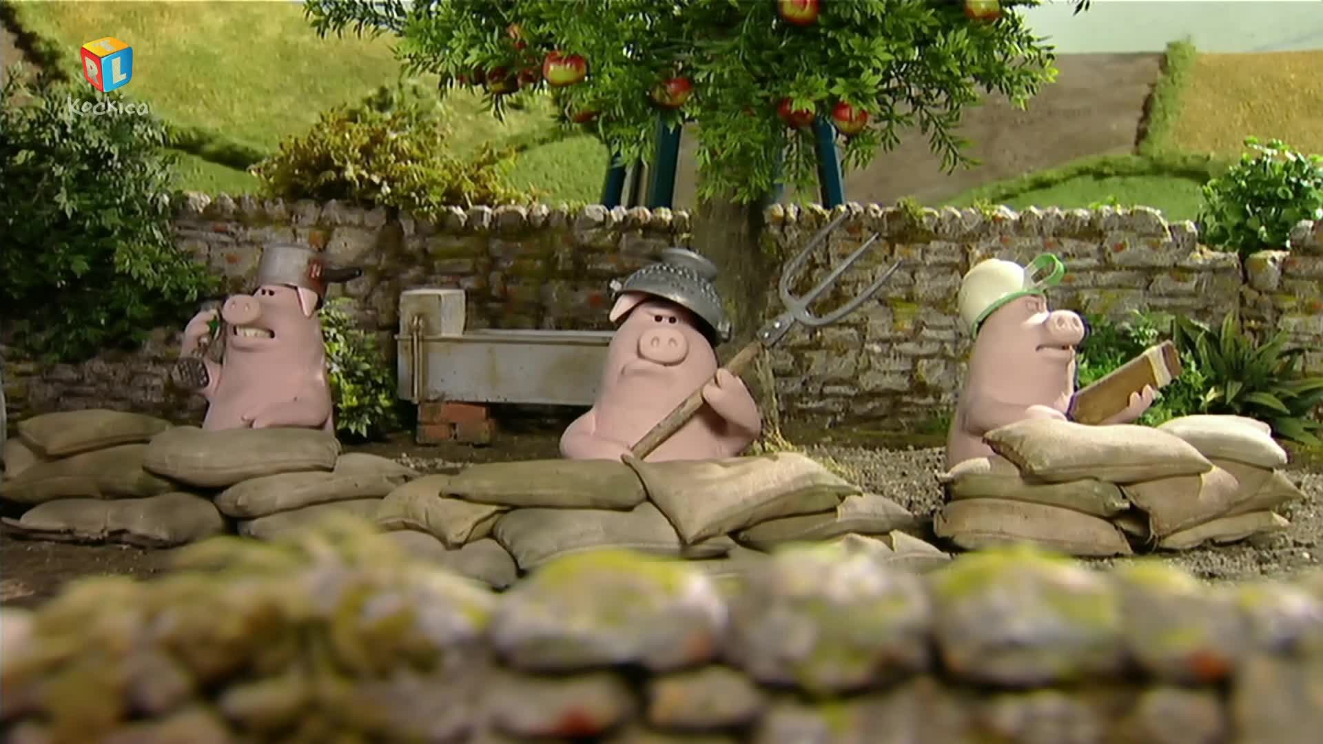RTLKockica