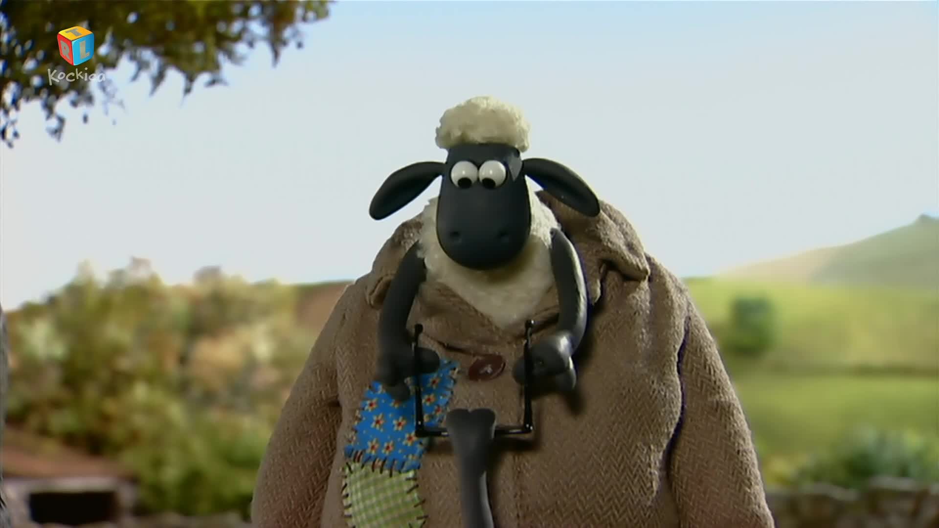 RTLKockica