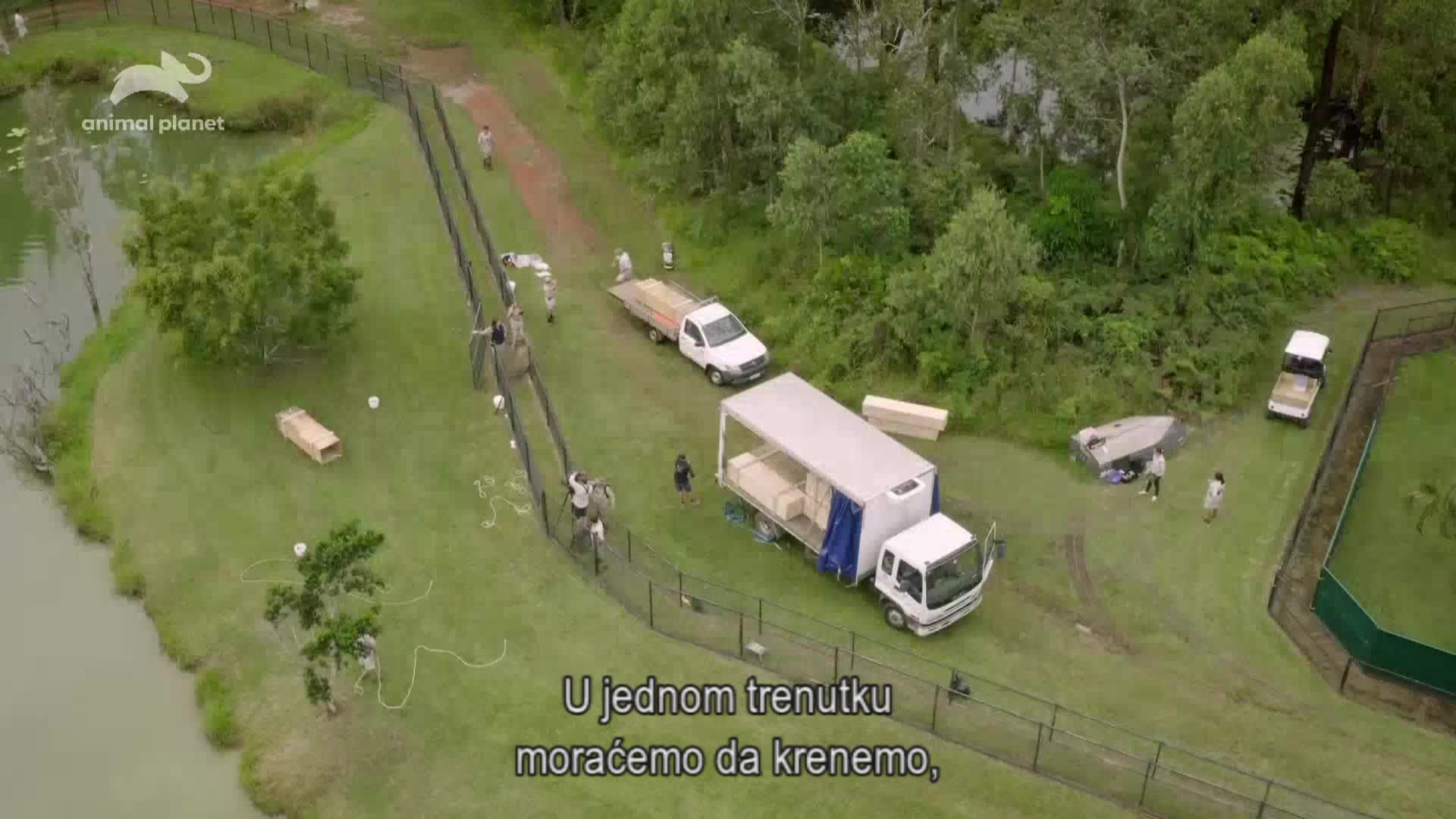 AnimalPlanet