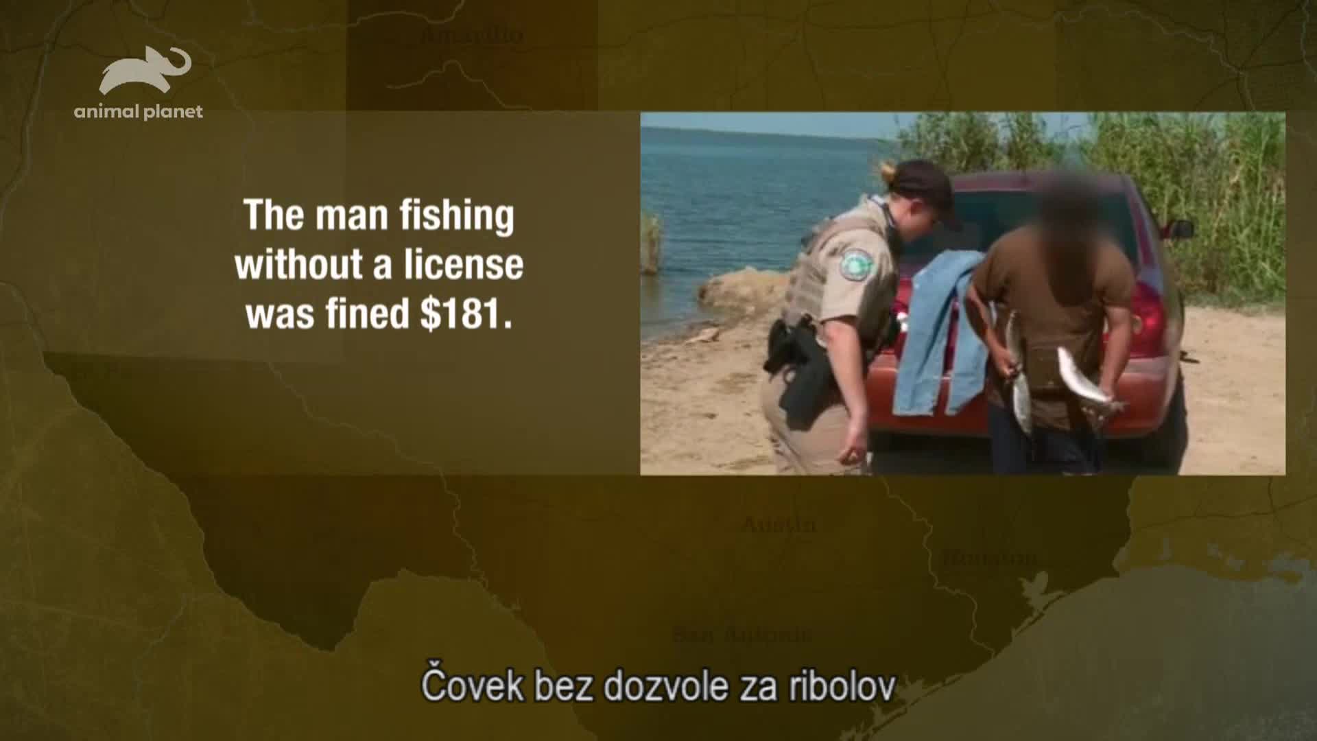 AnimalPlanet