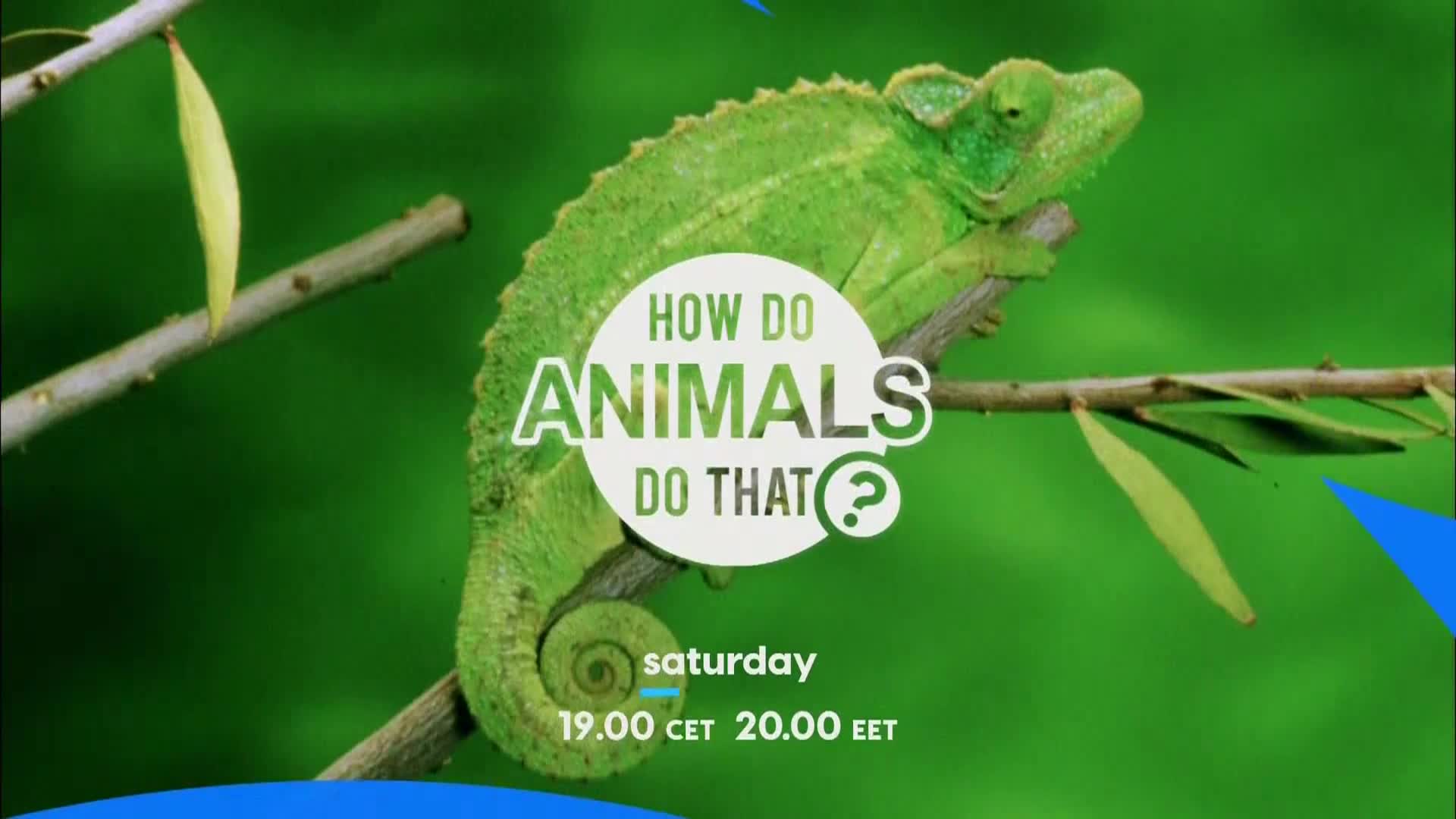 AnimalPlanet