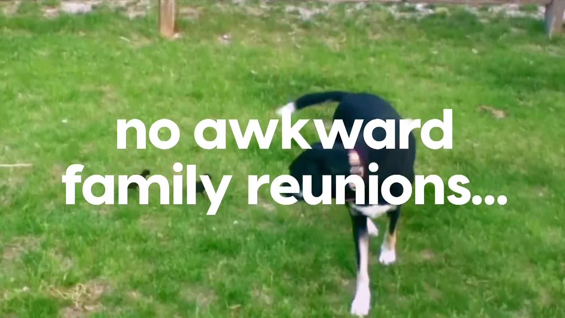 AnimalPlanet