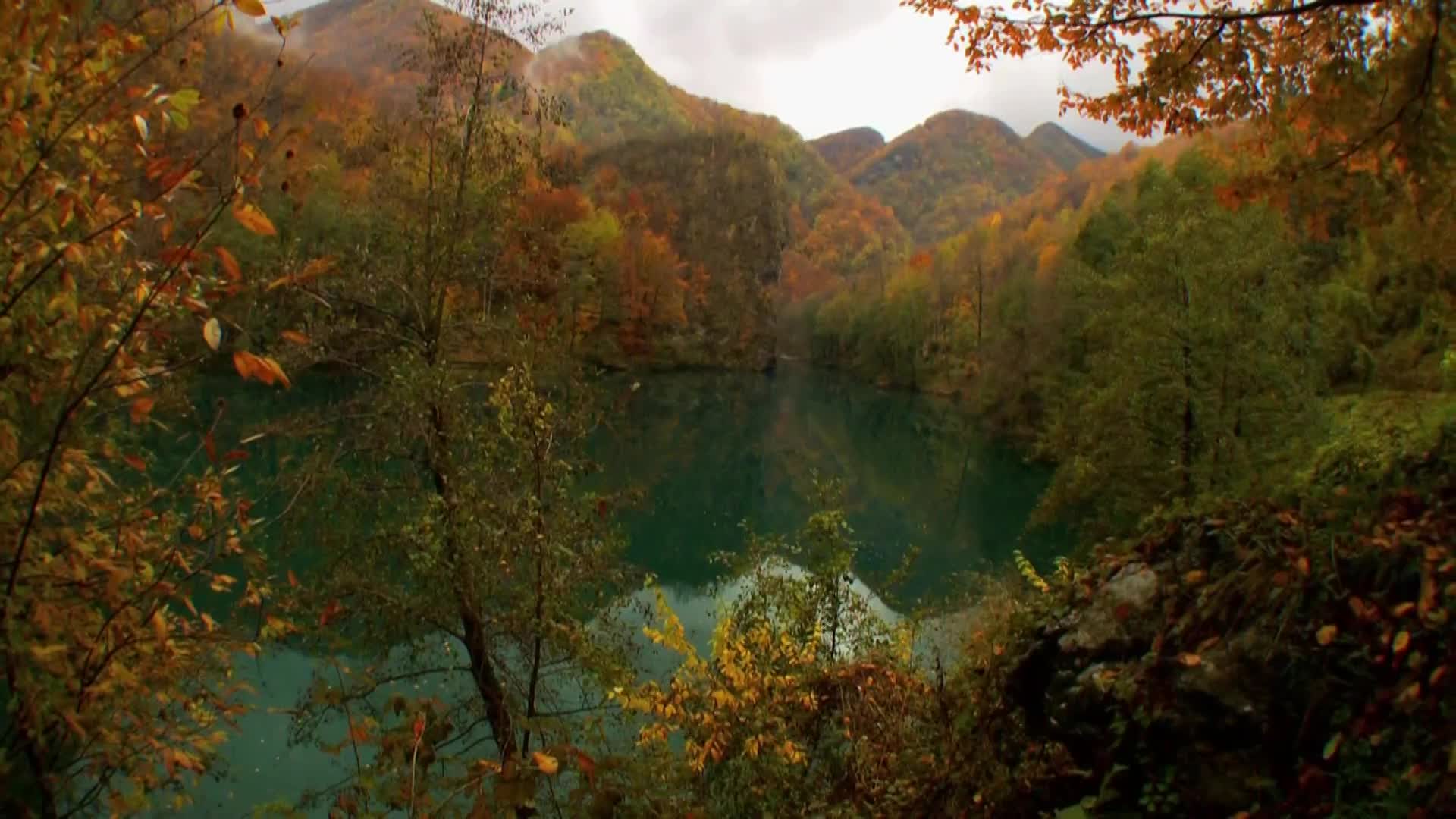 DokuTV