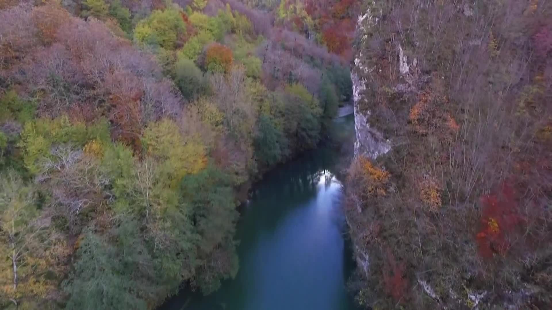 DokuTV