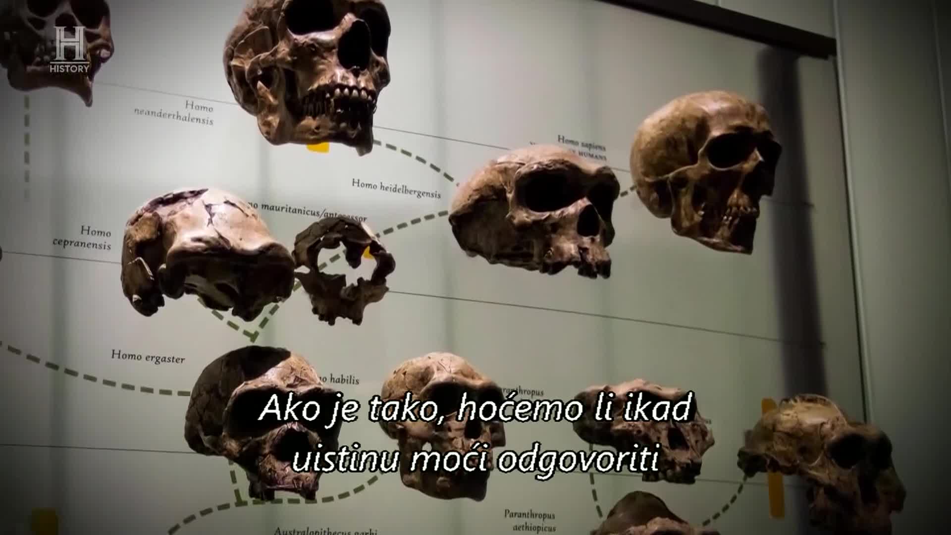 History