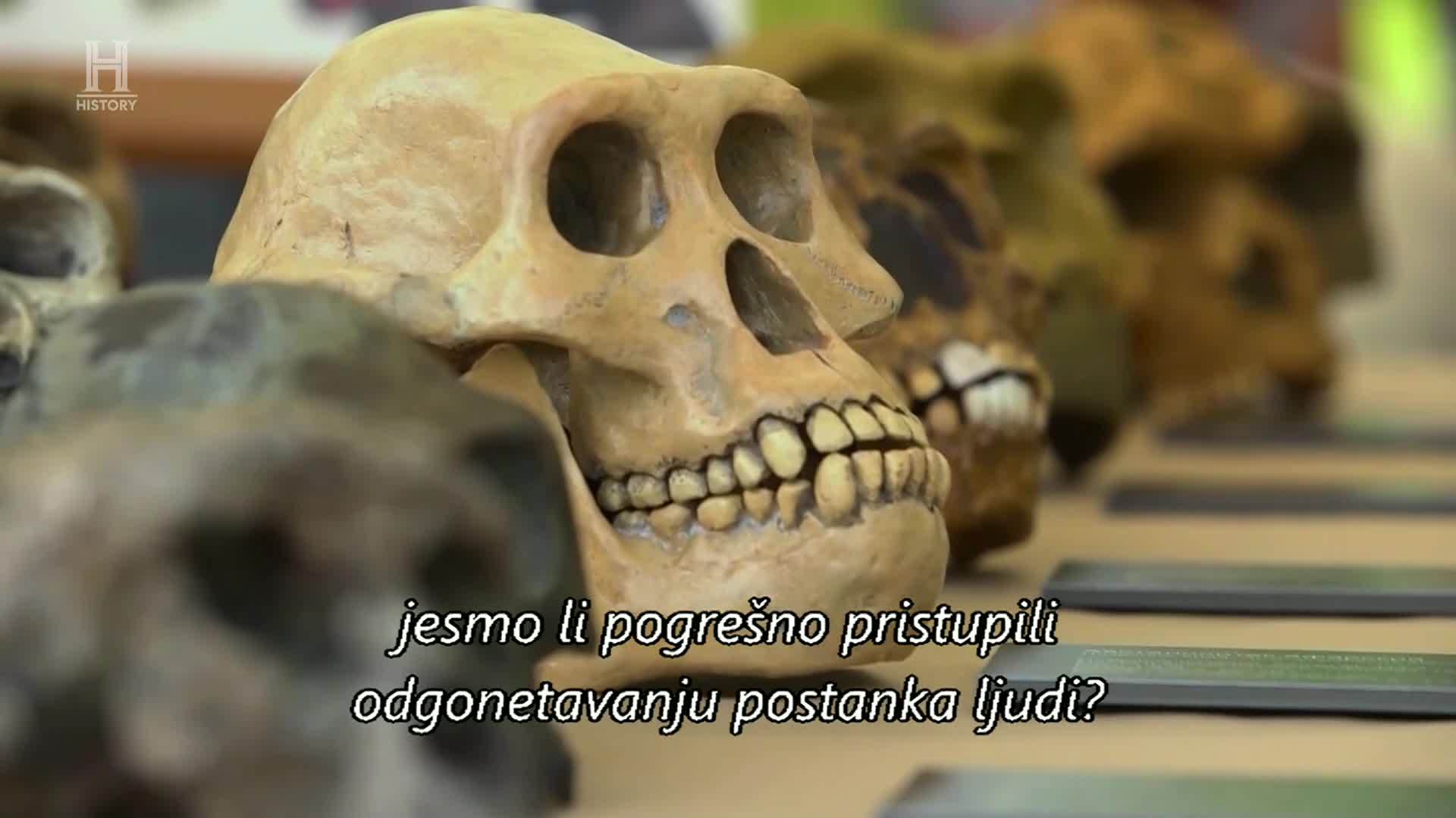 History