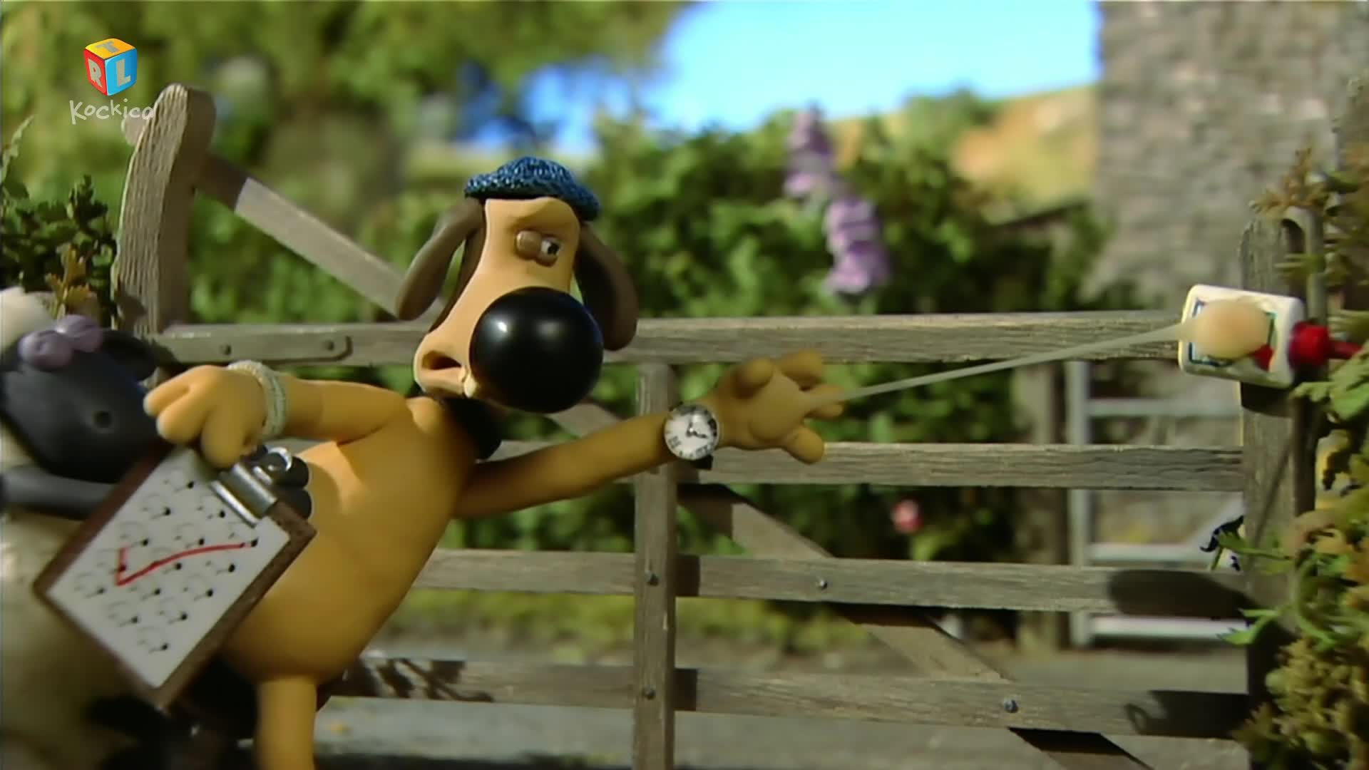 RTLKockica