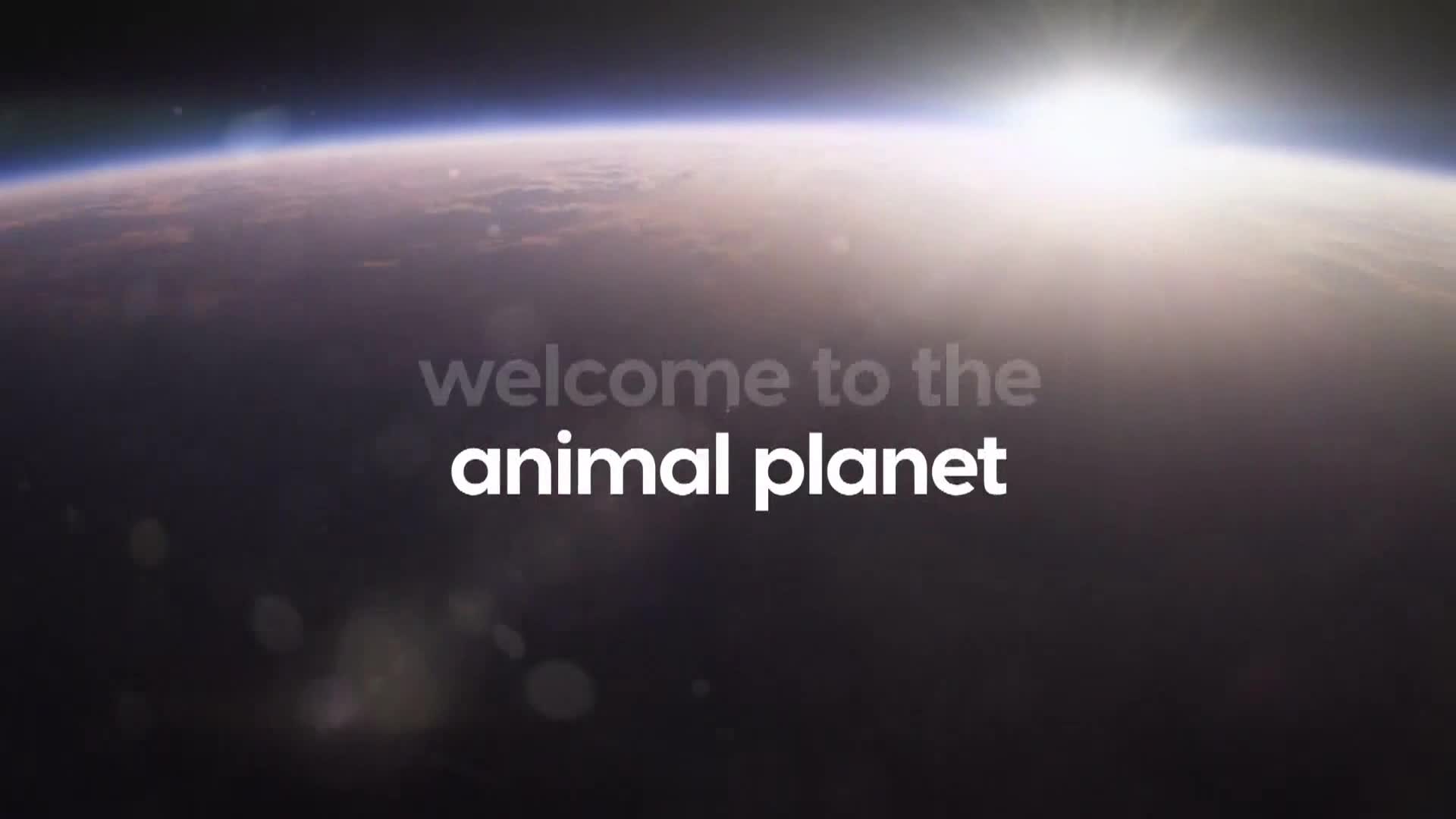 AnimalPlanet