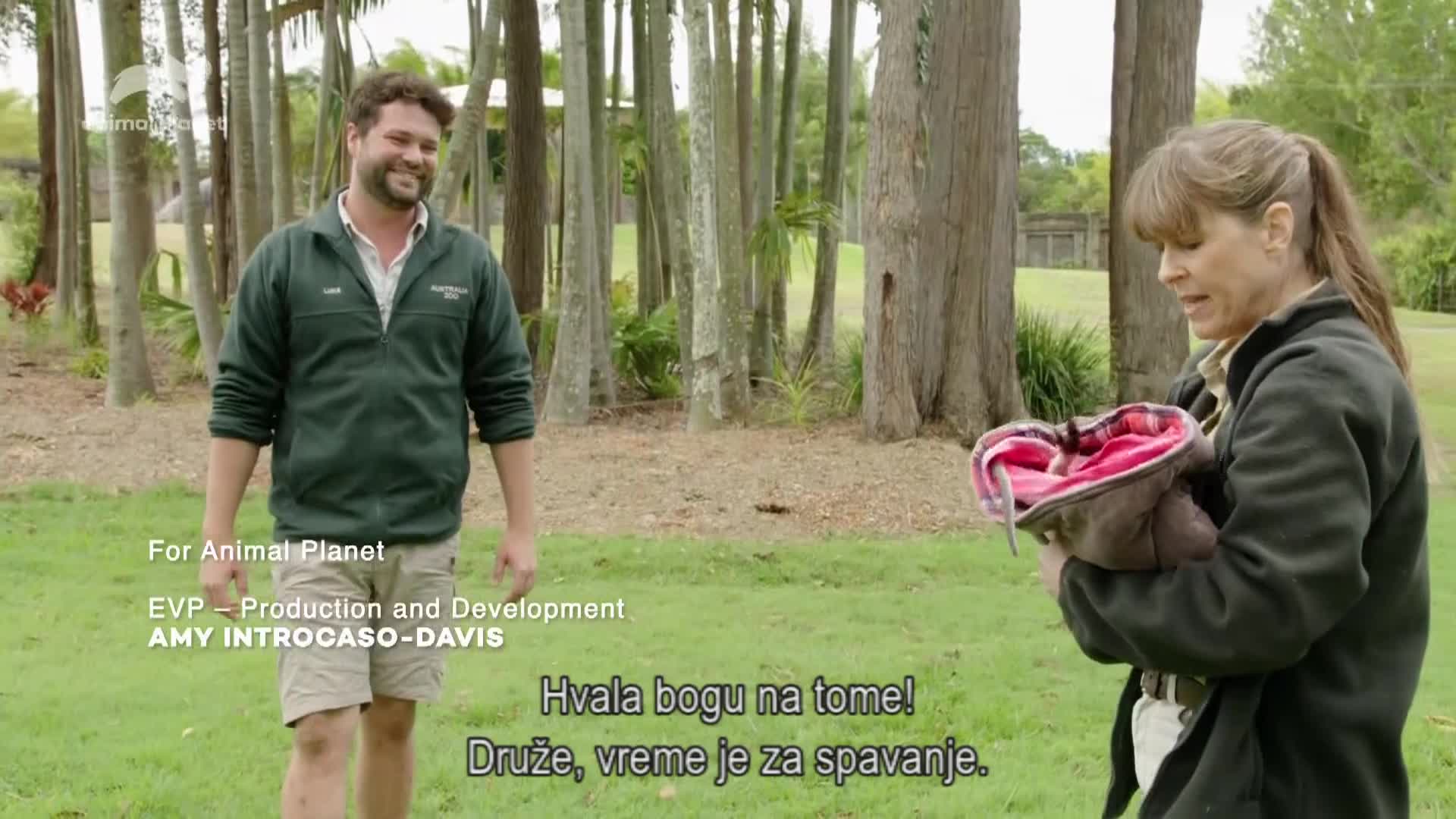 AnimalPlanet