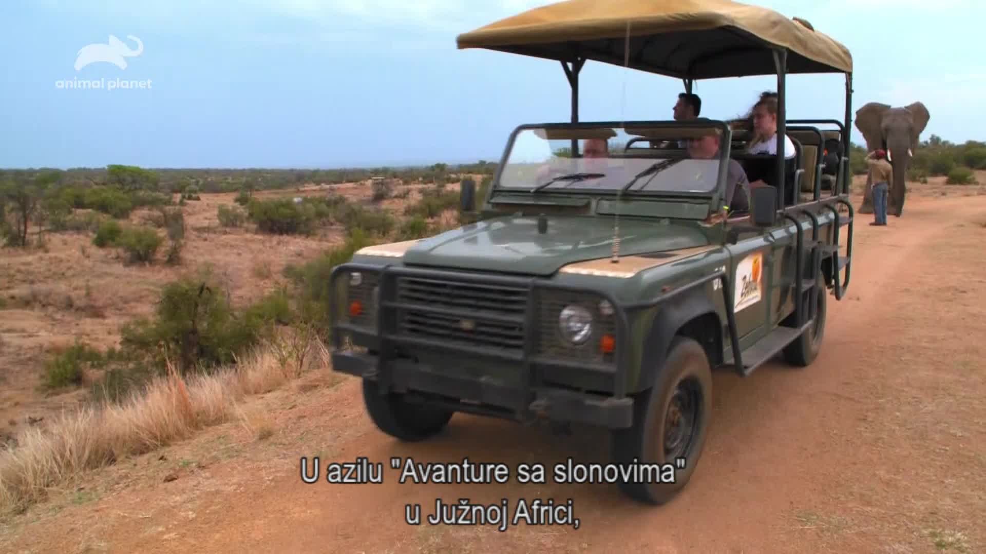AnimalPlanet
