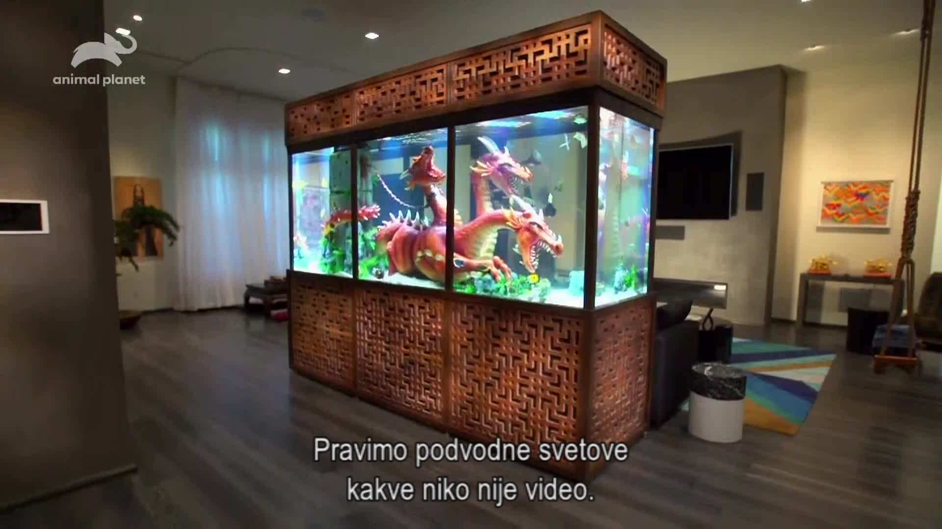 AnimalPlanet