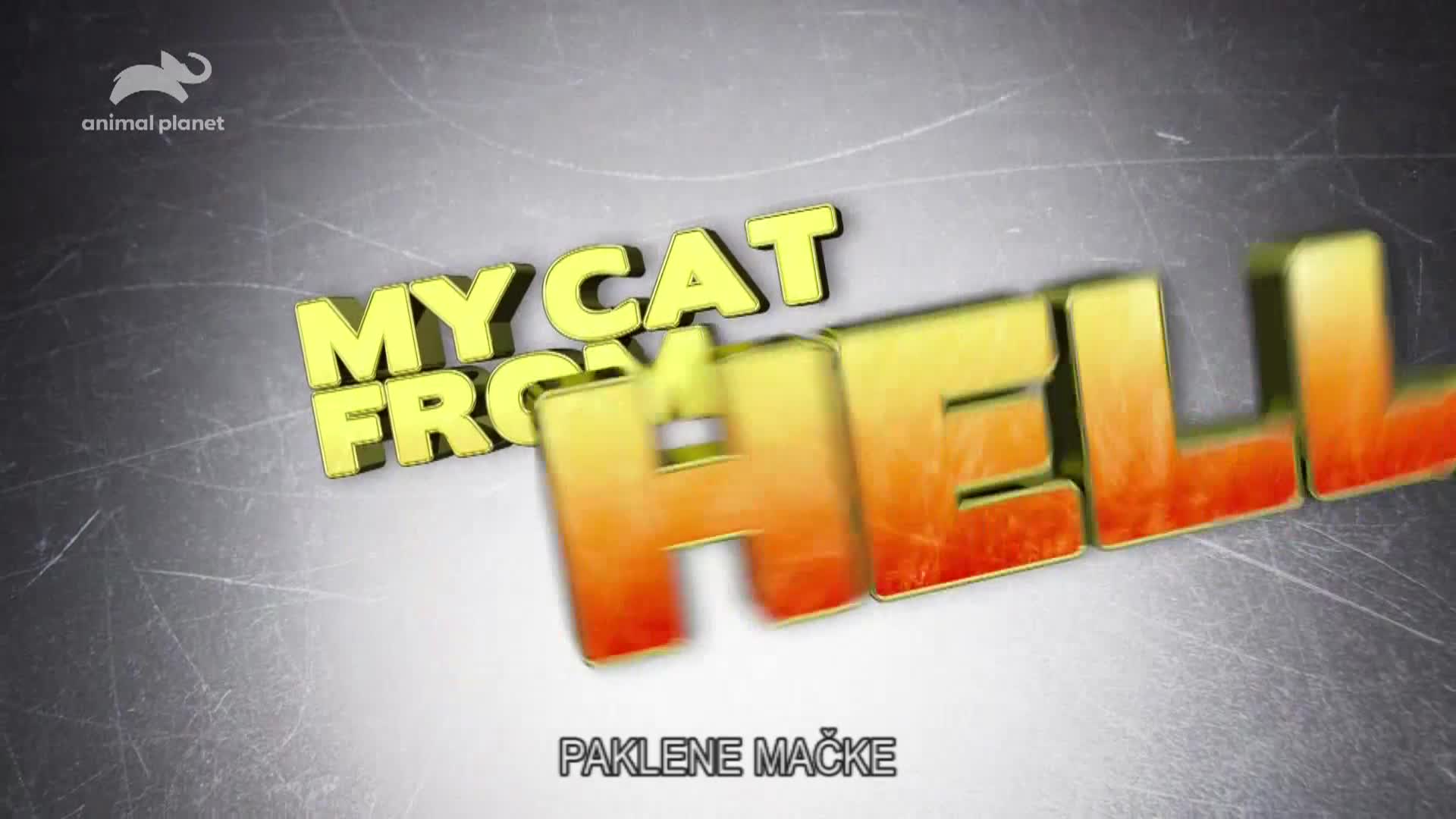 AnimalPlanet