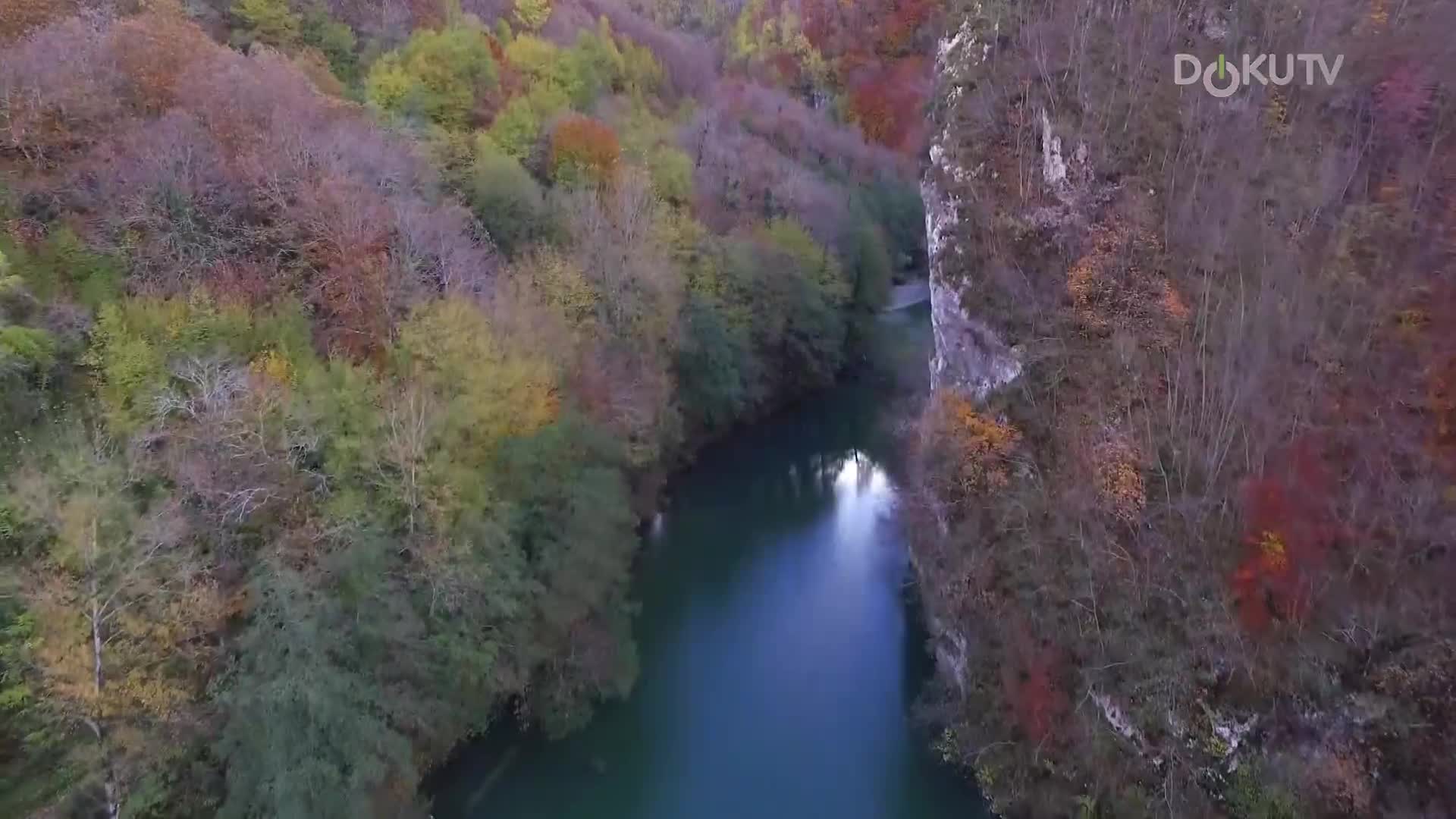 DokuTV