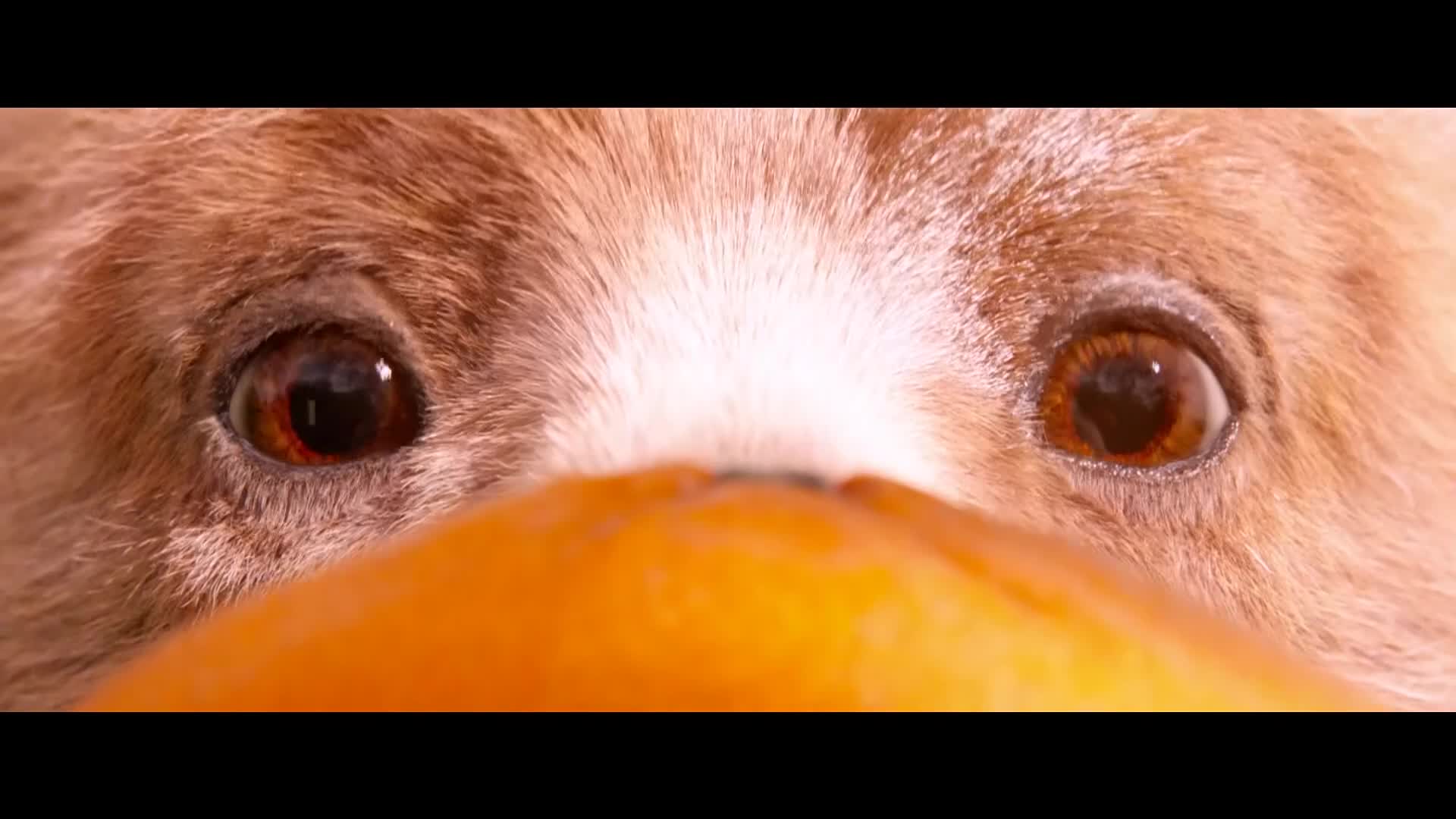 CinestarTV