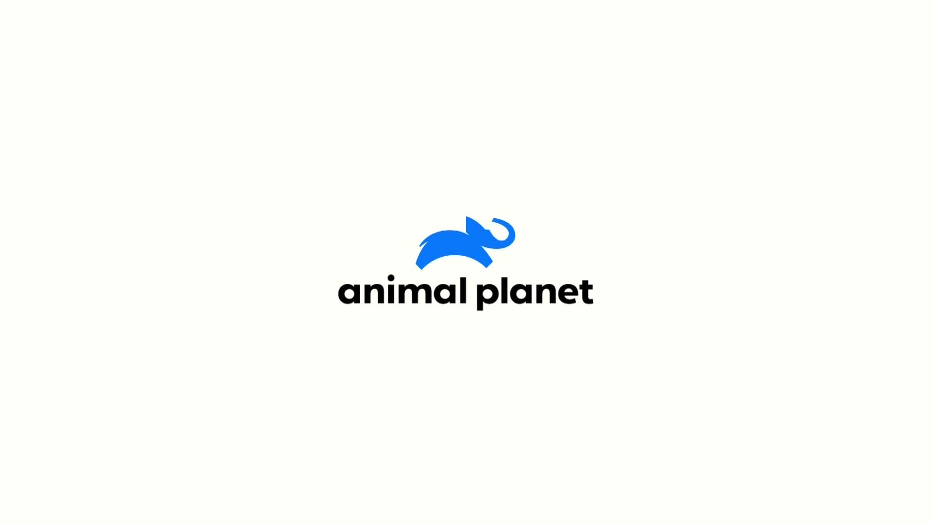 AnimalPlanet