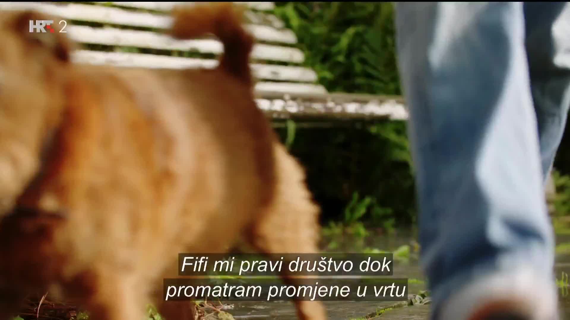 HRT2