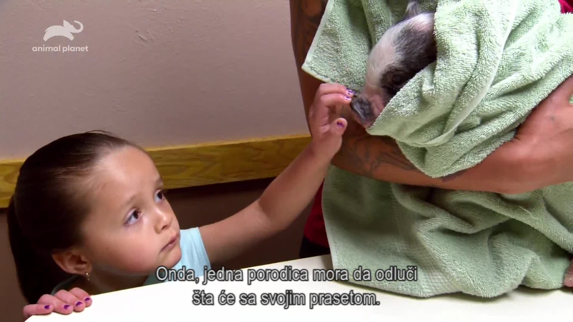 AnimalPlanet