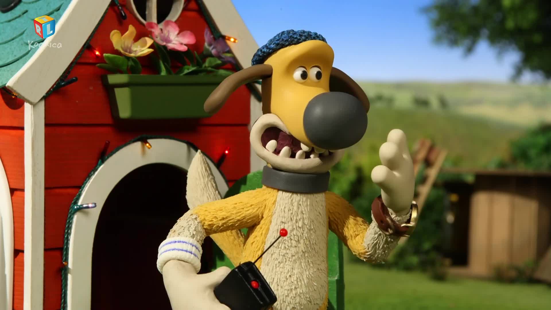 RTLKockica
