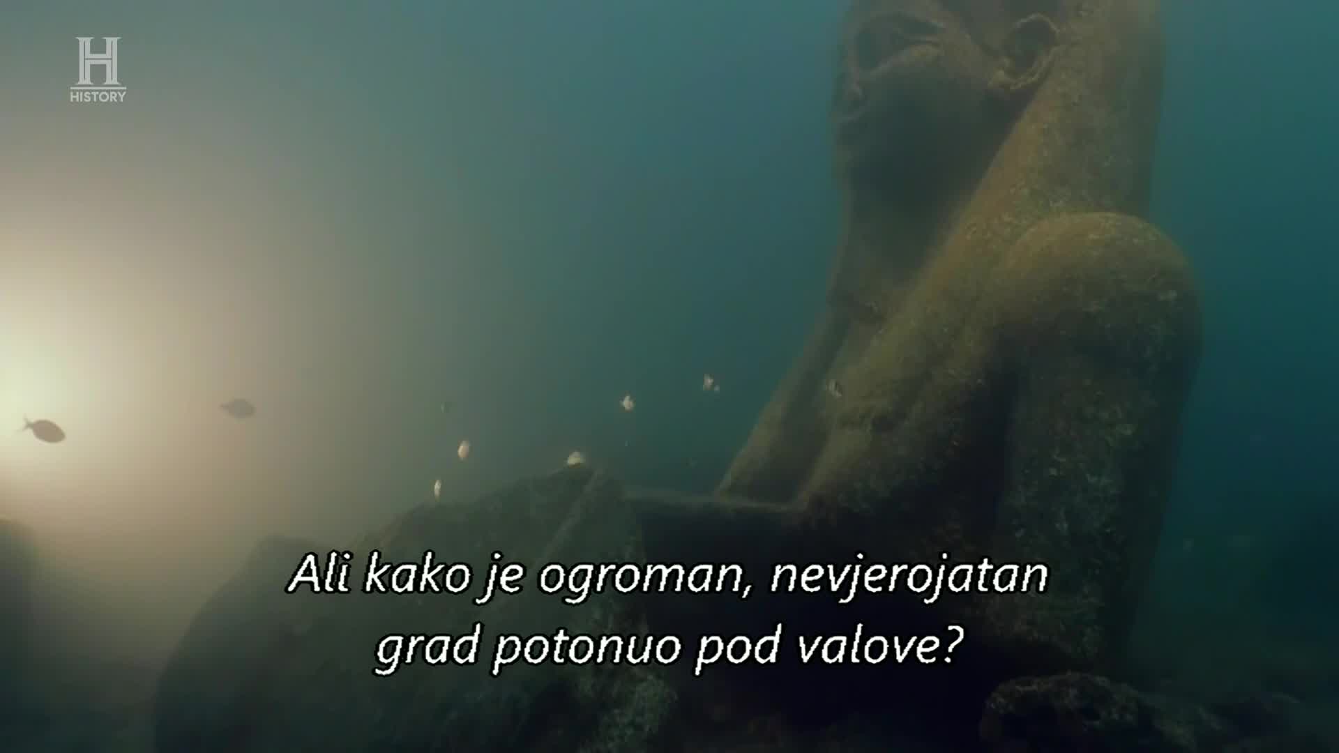 History