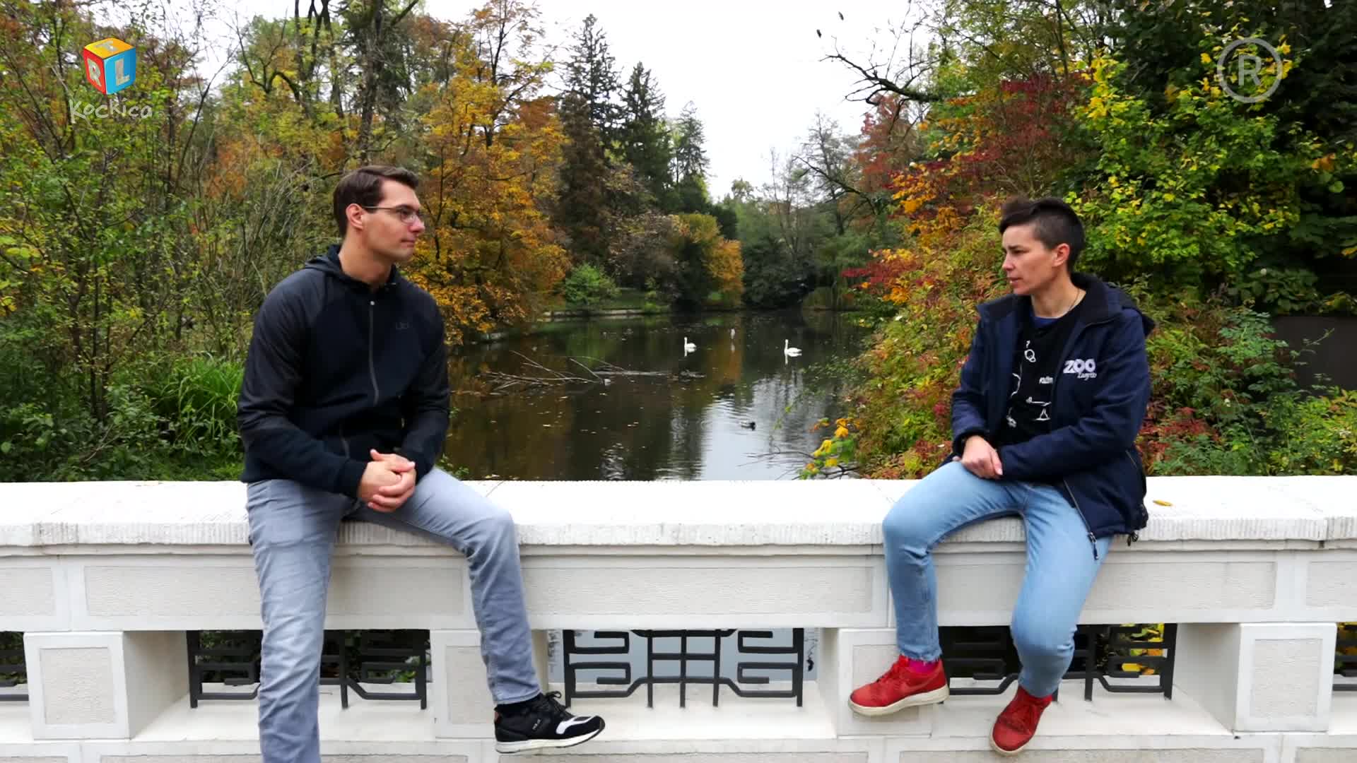 RTLKockica