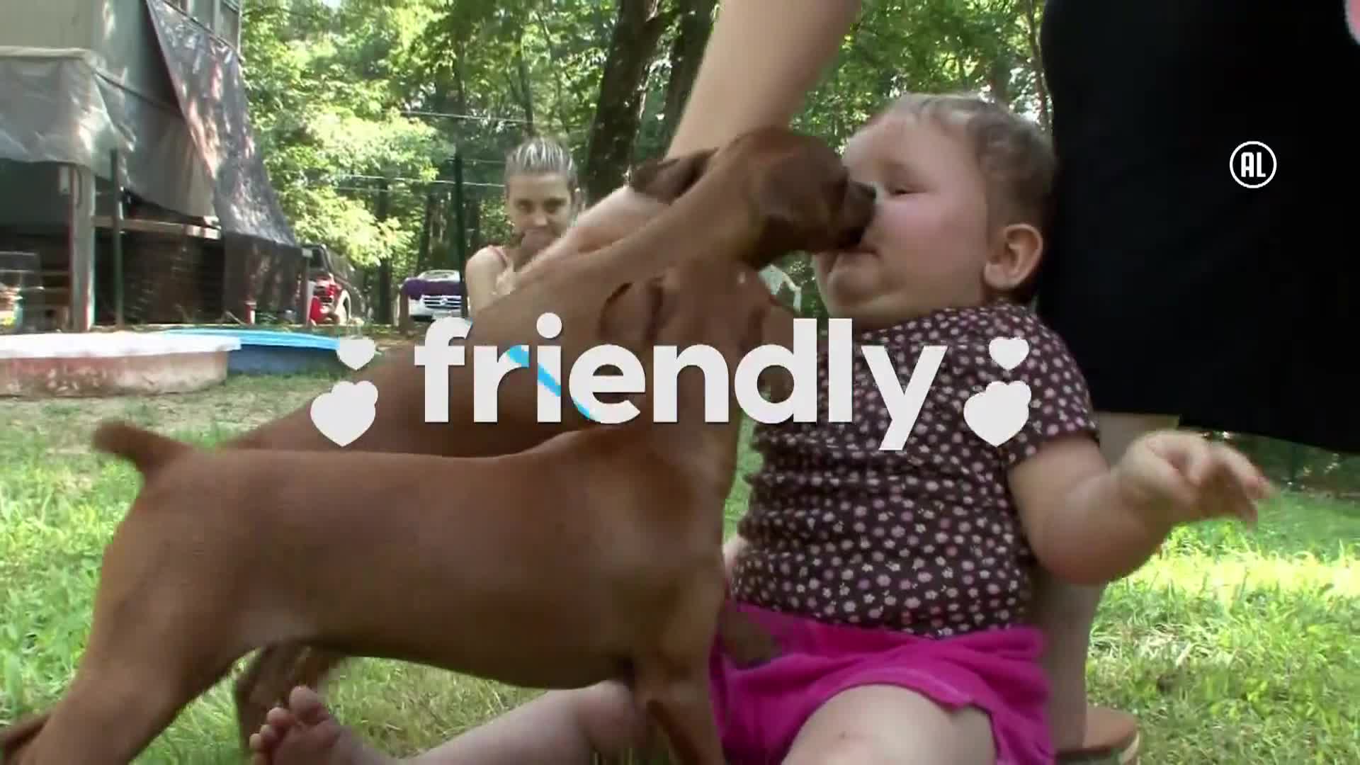 AnimalPlanet