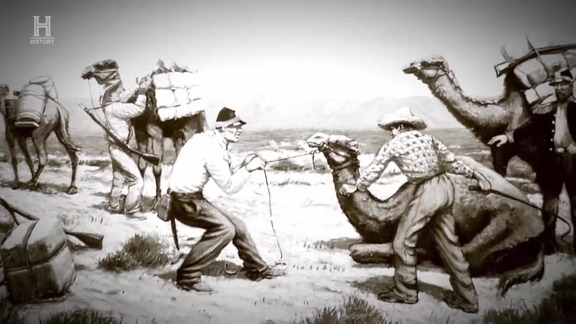 History