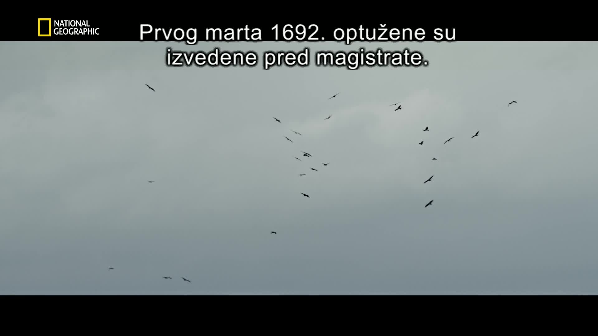 Premium10