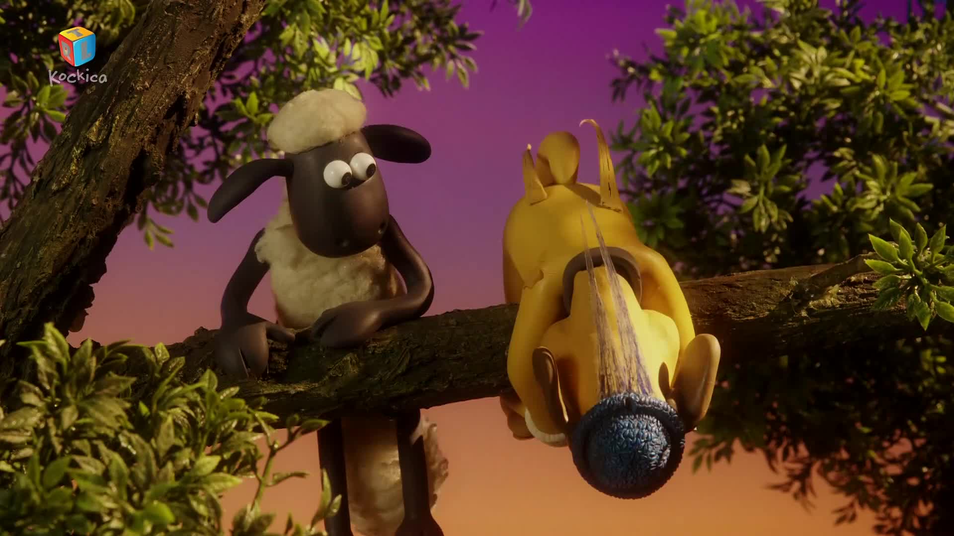 RTLKockica