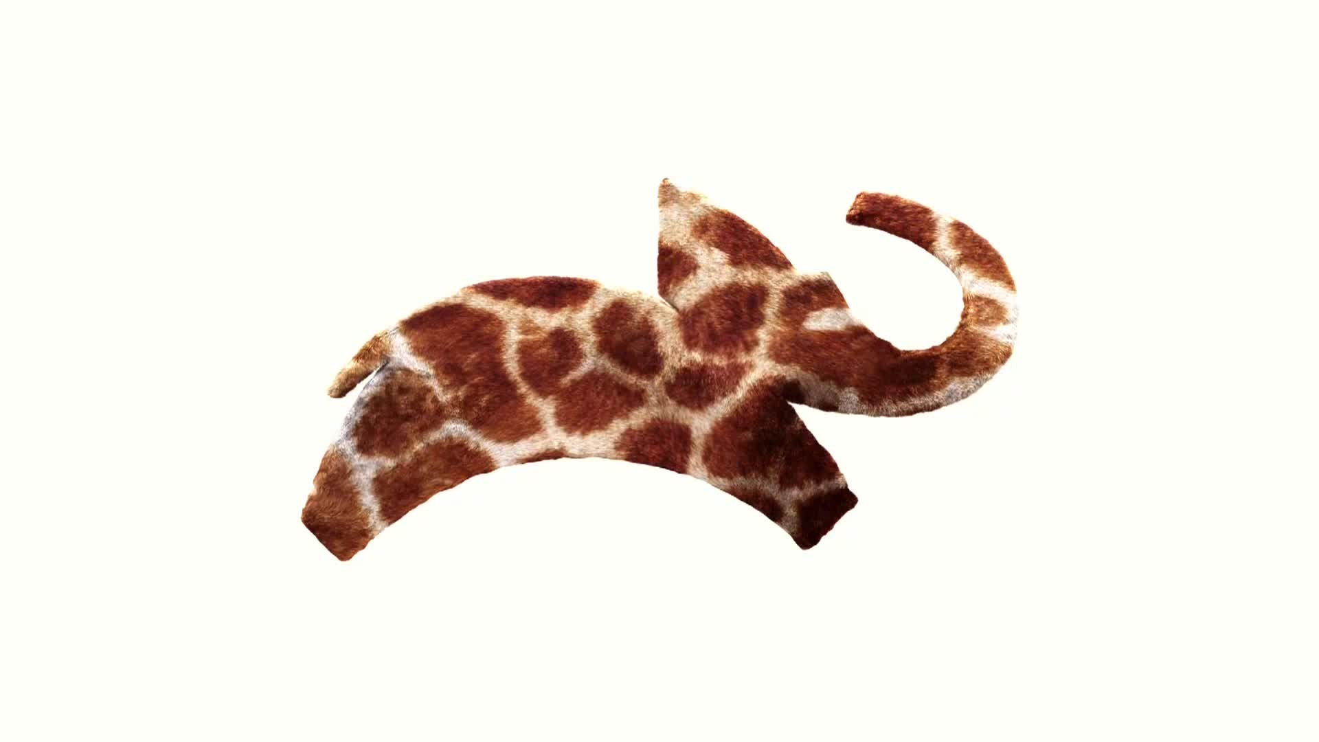 AnimalPlanet