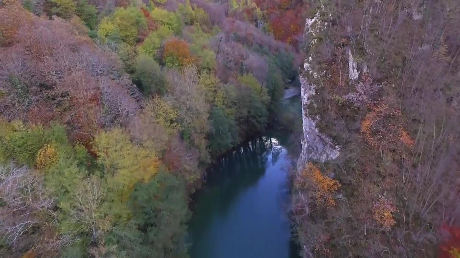 DokuTV