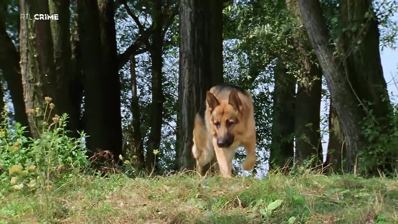RTLcrime