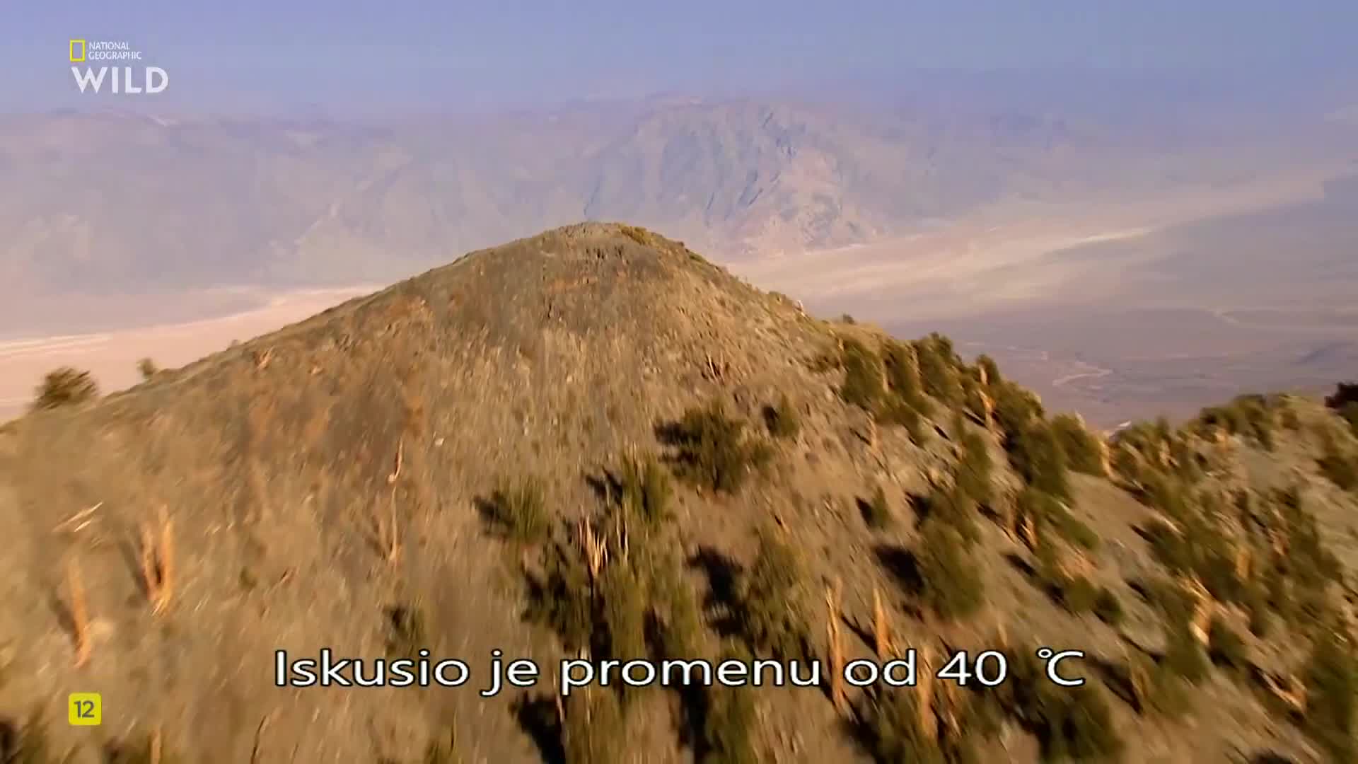 Premium9