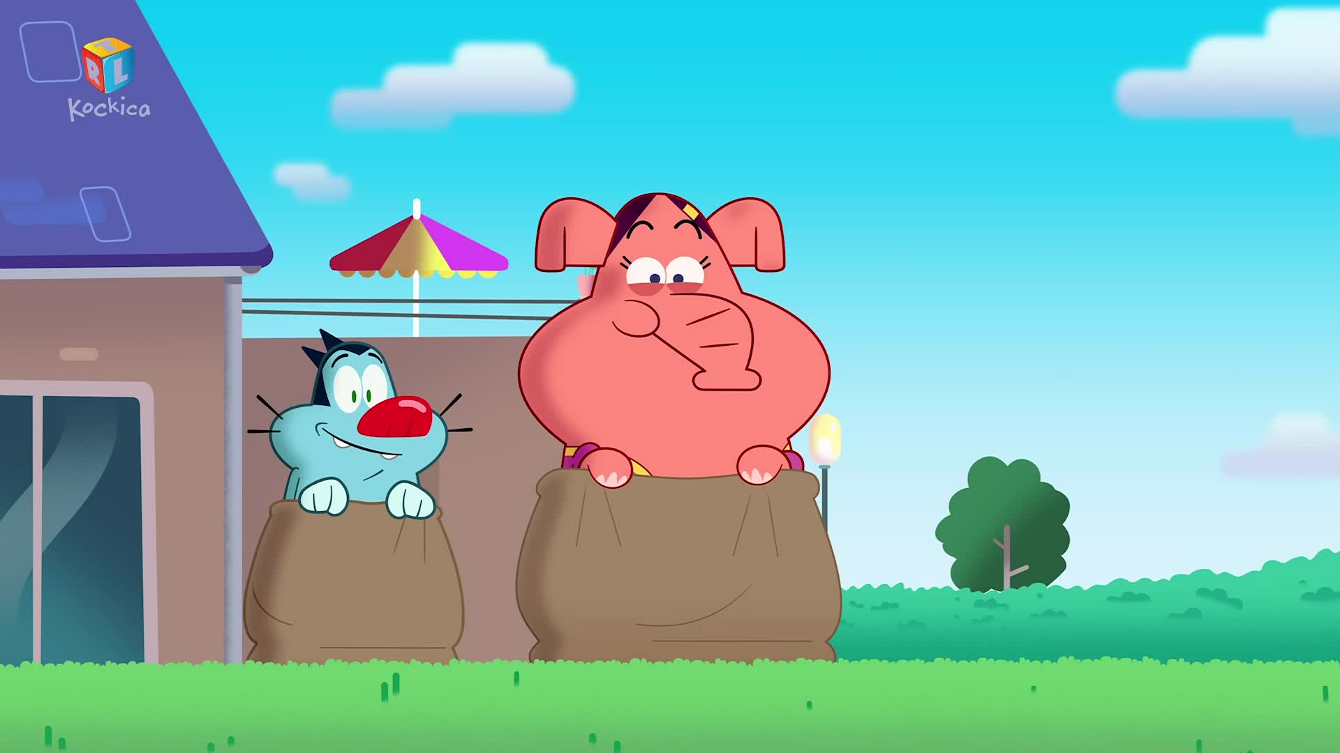 RTLKockica