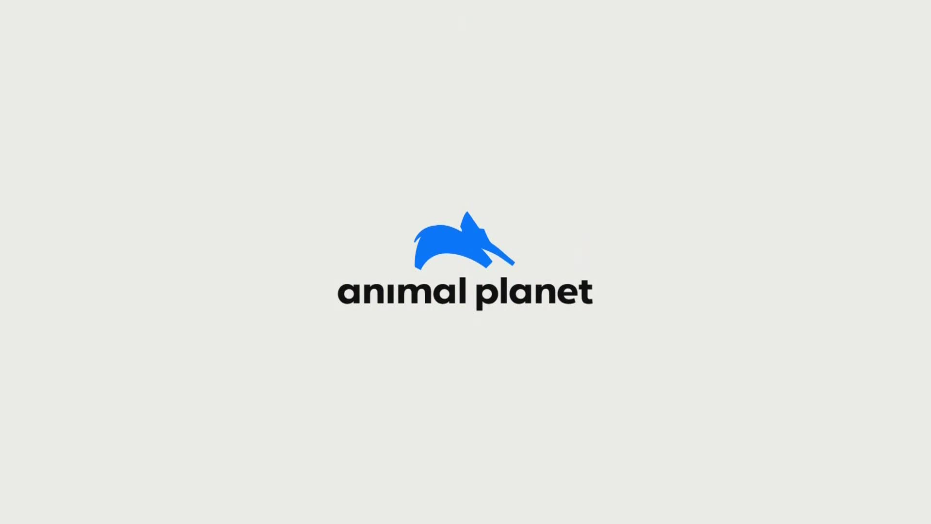 AnimalPlanet