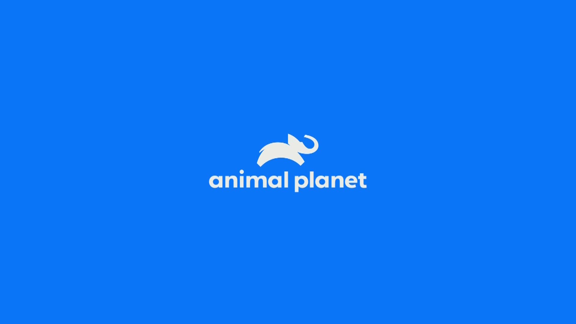 AnimalPlanet
