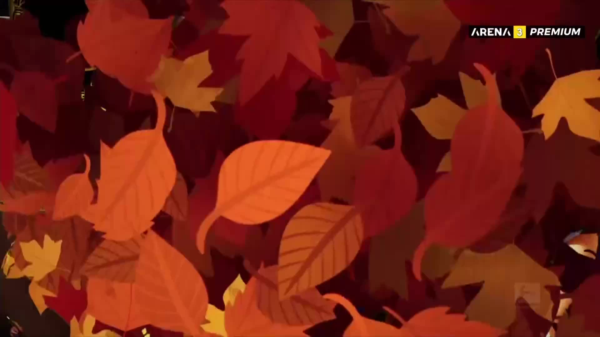 ArenaPremium3