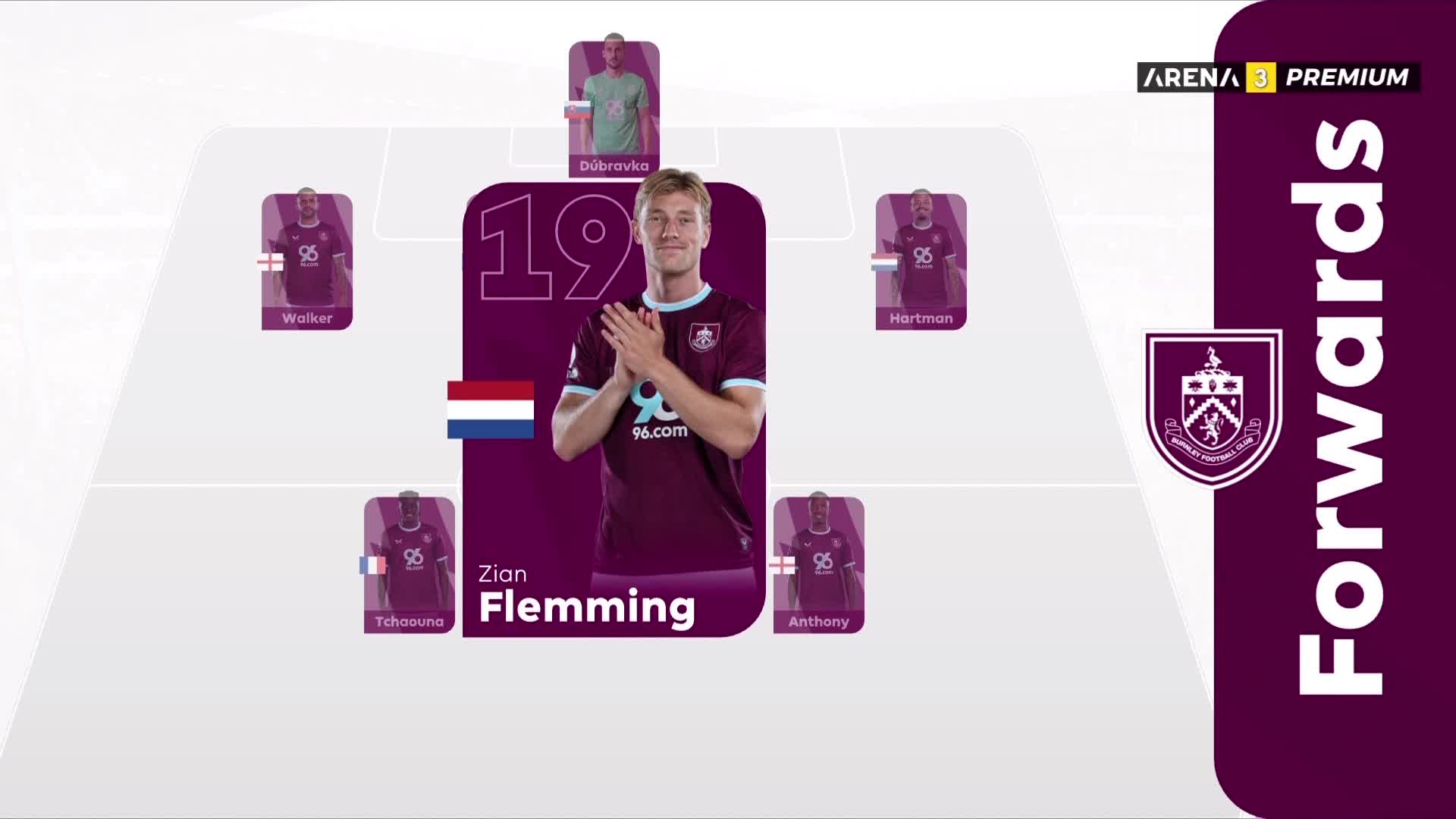 ArenaPremium3