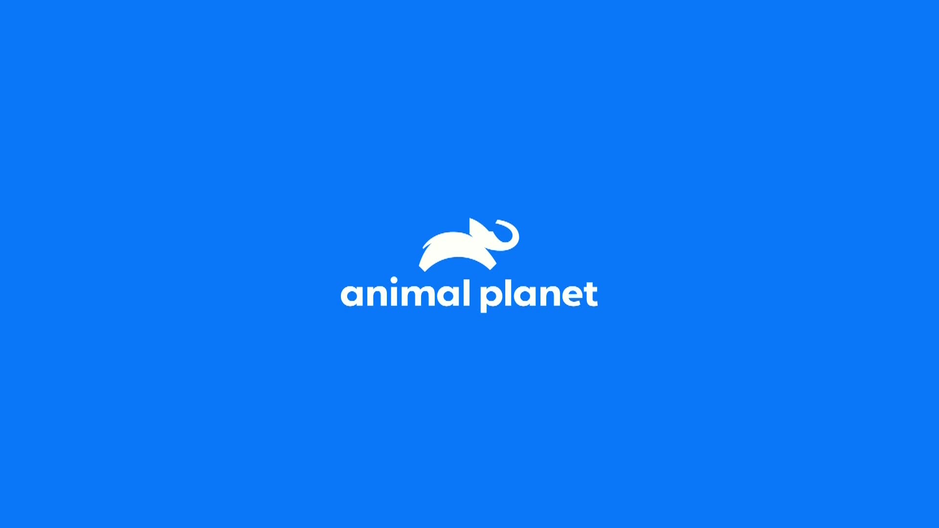 AnimalPlanet