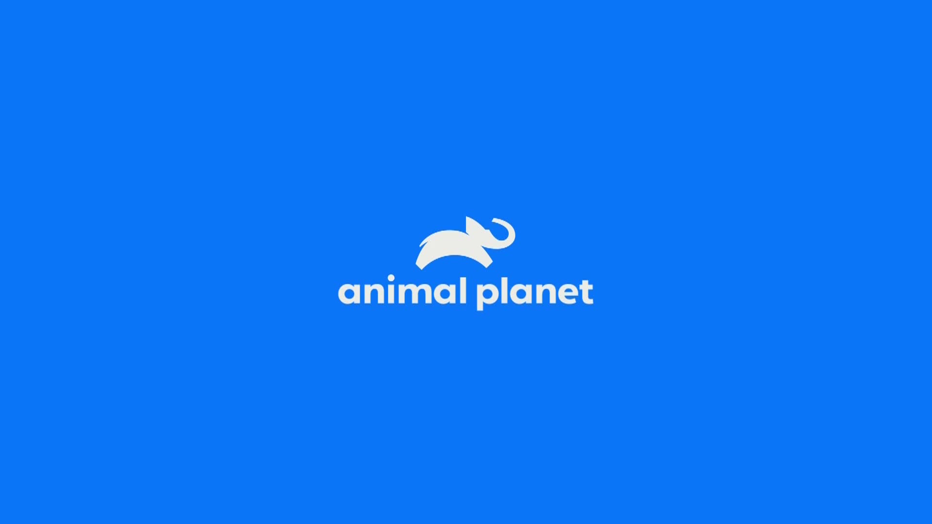AnimalPlanet