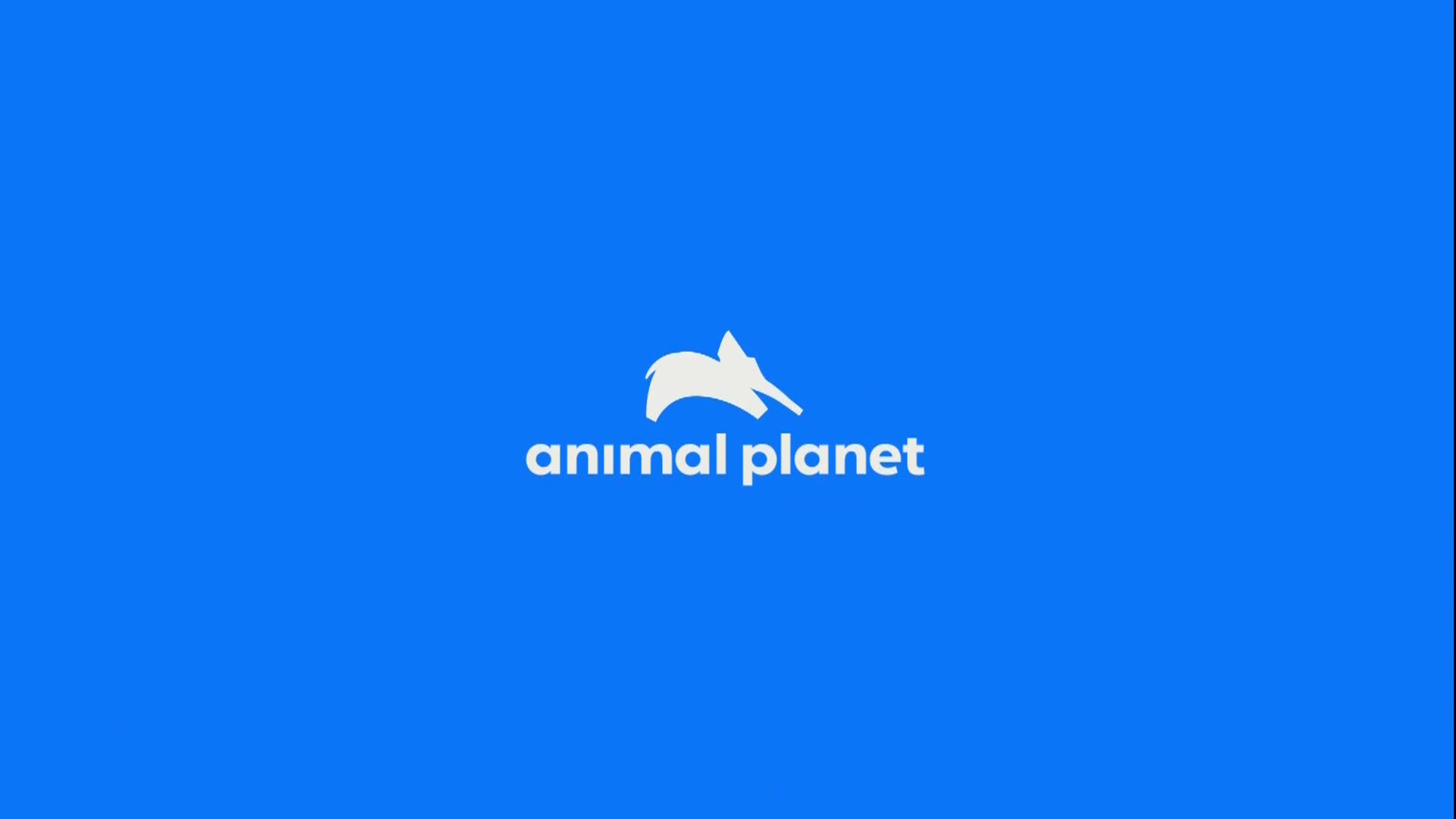 AnimalPlanet